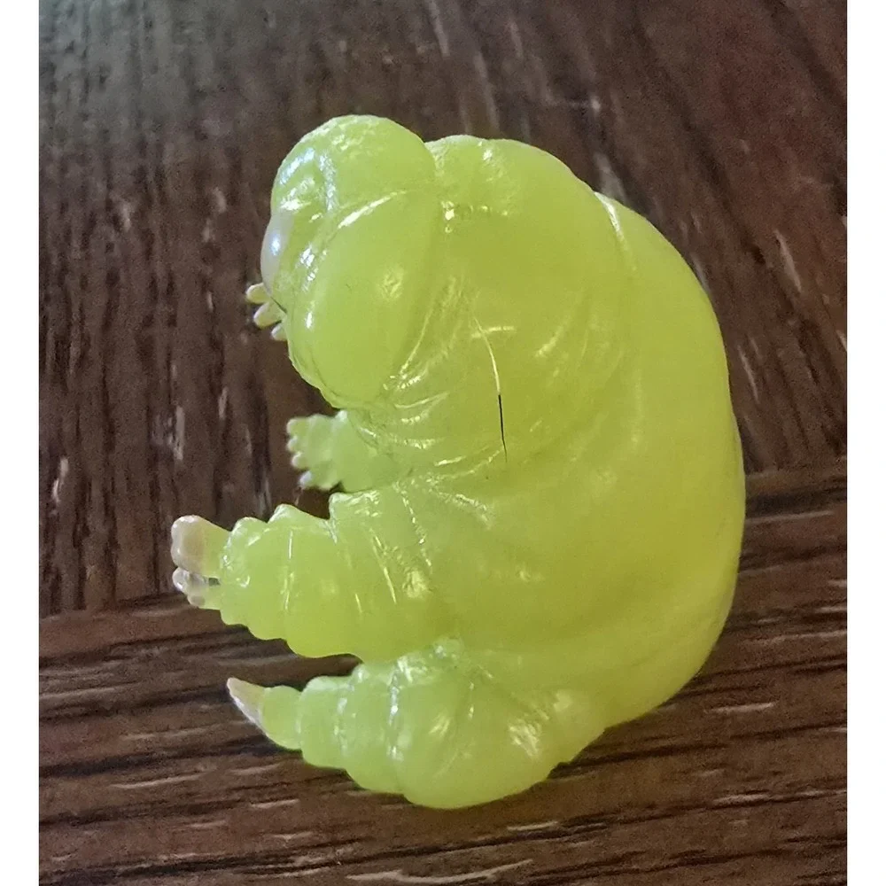 GLOW IN THE DARK FINGER TARDIGRADES WATER BEAR S 4 PACK